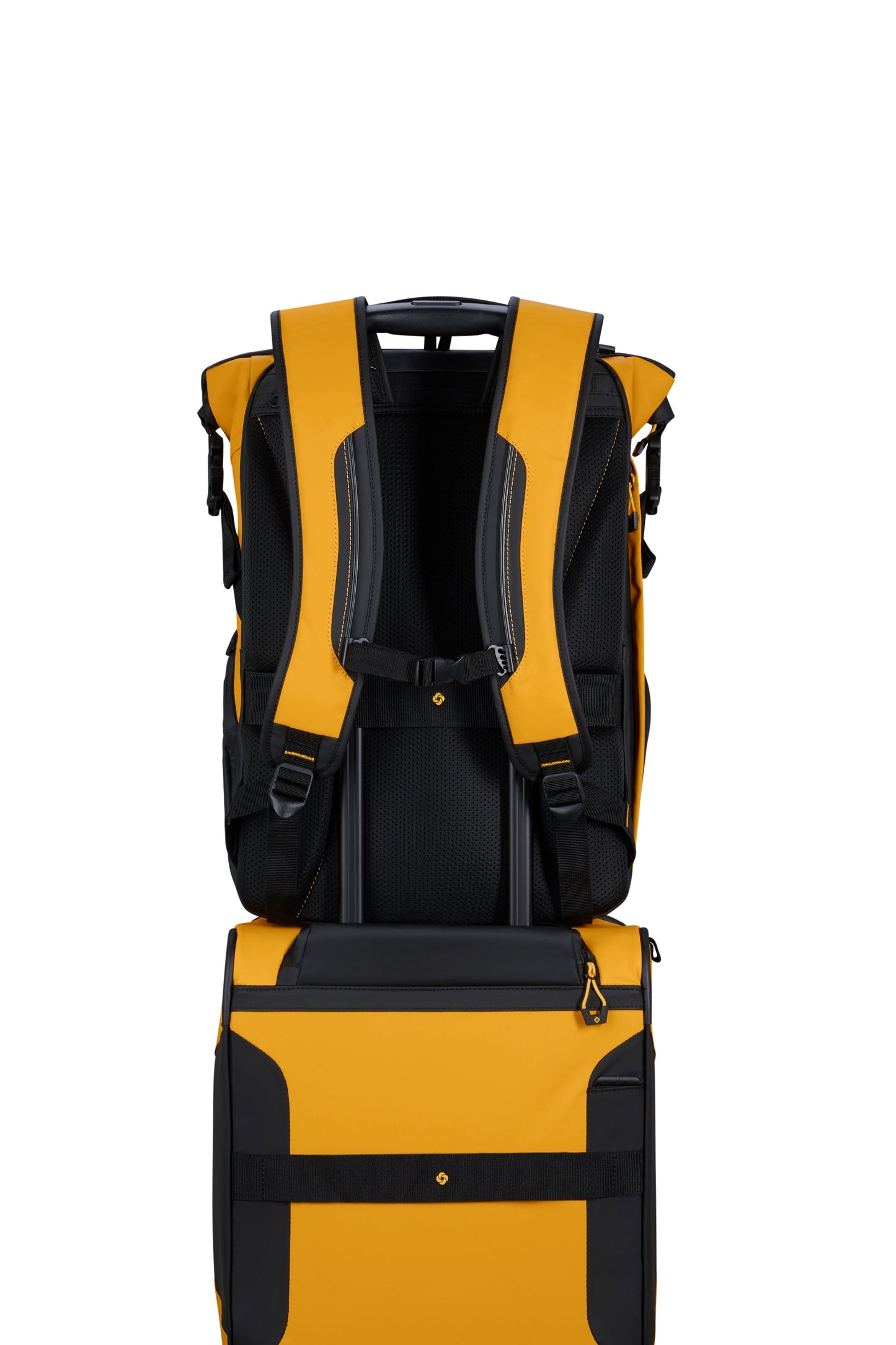 ECODIVER Rolltop Rucksack L 152975 von Samsonite - Laure Bags and Travel